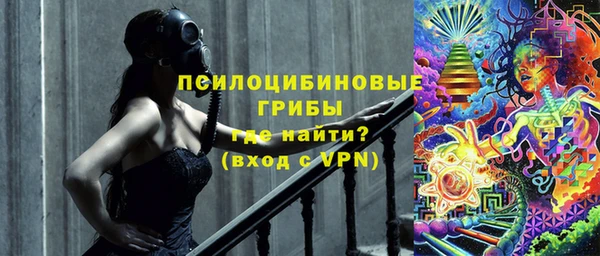 гашик Елабуга