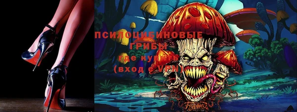 гашик Елабуга