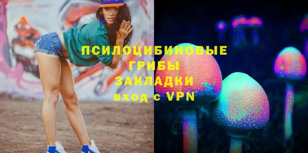 гашик Елабуга