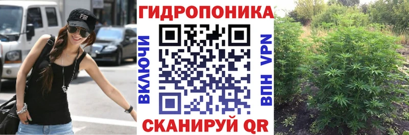 Бошки Шишки семена  KRAKEN как войти  маркетплейс состав  Зуевка 